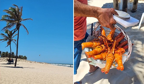 Praia deserta com coqueiros sob céu azul e cesta de lagostas frescas sendo servidas na areia, ideal para quem busca tranquilidade e frutos do mar.