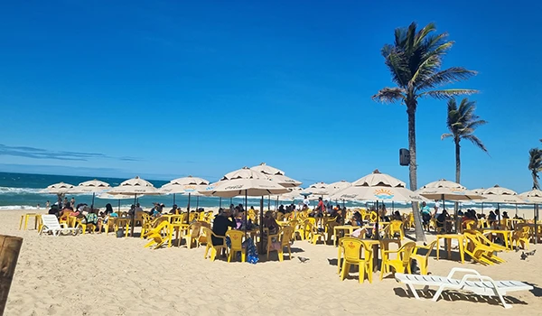 Praia com muitos guarda-sóis brancos e cadeiras amarelas na areia, com céu azul claro ao fundo e uma única palmeira alta ao lado.