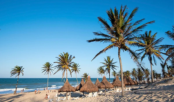 Praia tropical com coqueiros, chaise longues e balneário com seletas palhas, cenário perfeito para férias na beira-mar.