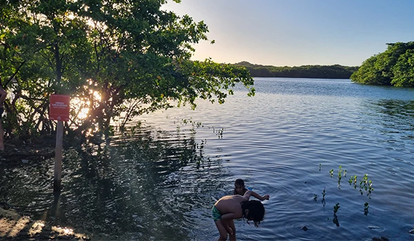 Crianças brincando em um manguezal ao entardecer, com vegetação ao redor e um lago tranquilo.