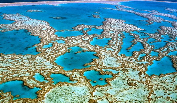 Grande Barreira de Corais da Austrália,