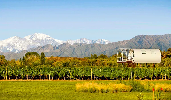 Paisagem rural com vinhedos em primeiro plano e uma pequena construção cilíndrica elevada sobre uma estrutura de madeira à direita. Ao fundo, há uma cadeia de montanhas, incluindo picos nevados, sob um céu azul. A vegetação apresenta tons verdes e dourados, com árvores espalhadas pela paisagem.
