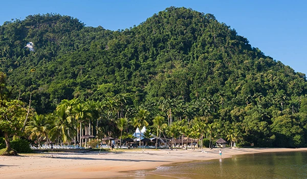 Cenário de praia tropical com areia, palmeiras e uma montanha verde ao fundo, ideal para turismo e lazer em meio à natureza.