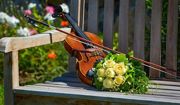 Violino marrom e arco apoiados sobre um banco de madeira, ao lado de um buquê de rosas amarelas e folhagens, com flores coloridas ao fundo.