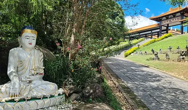 Imagem de um jardim zen com uma estátua de Buda em pedra branca, árvores e um caminho de pedras levando a um pavilhão tradicional asiático promovendo no Templo Zu Lai.