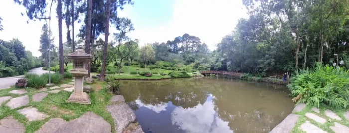 Imagem de um jardim zen com lago tranquilo, plantas verdes e caminho de pedra, perfeito para relaxar e meditar em uma área ao ar livre.