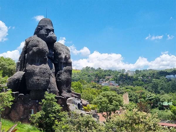 Escultura de gorila em uma paisagem natural, simbolizando a vida selvagem e a preservação ambiental em um parque ao ar livre. Atrações do Animália Park.
