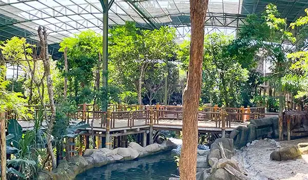Imagem do ambiente natural com vegetação exuberante, passarela de madeira e elevações próximas a um corpo d'água. Atrações do Animália Park.