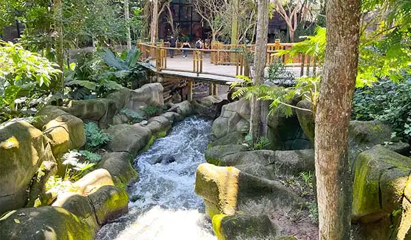 Uma bela cena de natureza com um riacho correndo entre pedras, rodeada por vegetação exuberante e uma passarela de madeira ao fundo. Atrações do Animália Park.