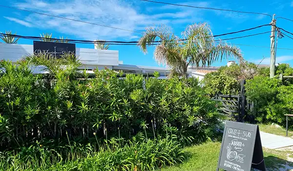 Imagem de uma varanda com vegetação exuberante, incluindo árvores de palmeira e arbustos, sob céu azul claro. Uma placa de publicidade está visível ao lado.  José Ignacio paradores e restaurantes.