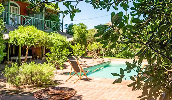 Área de piscina ao ar livre cercada por árvores e plantas exuberantes, com espreguiçadeiras de madeira ao redor, oferecendo um ambiente relaxante ao ar livre.