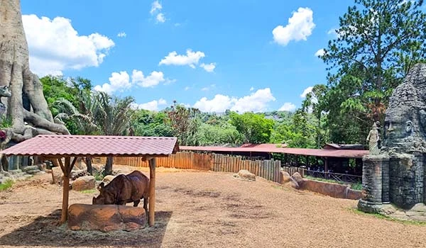 Área externa do Animália Park com um búfalo sob abrigo, rodeado por vegetação exuberante e construções de pedra, em um dia ensolarado.