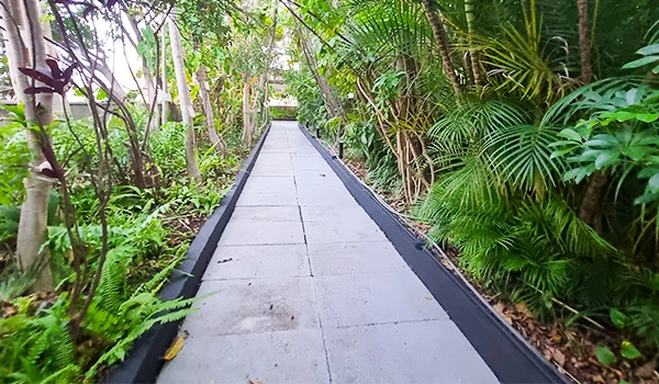 Caminho de concreto em meio à vegetação tropical exuberante, com cerca lateral escura e árvores e palmeiras nas duas laterais, criando uma trilha no jardim. Prefeitura de São Paulo.