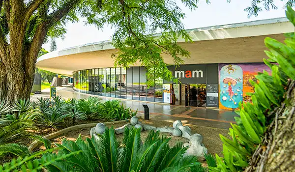 Museu de Arte Moderno (MAM) em São Paulo com arquitetura moderna e jardim bem cuidado na frente, ambiente ao ar livre e decoração artística na fachada no Parque Ibirapuera.