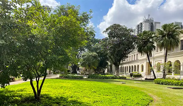 Vista de um belo parque com árvores verdes e um gramado bem cuidado, ideal para relaxar e aproveitar a natureza em meio. Local para quem buscar conhecer a ancestralidade no Museu da Imigração de SP.