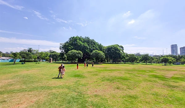 Imagem de um amplo parque verde com árvores e pessoas caminhando ao ar livre, sob céu claro e ensolarado, ideal para lazer e atividades ao ar livre.