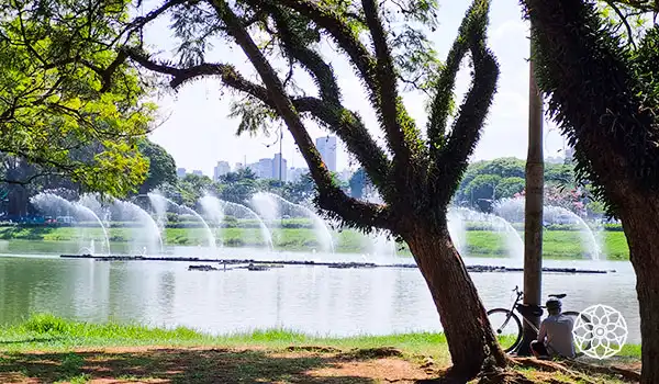 Imagem de um parque com árvores, um lago e fontes d'água, refletindo uma paisagem tranquila e natural, ideal para relaxar e aproveitar a natureza ao ar livre.