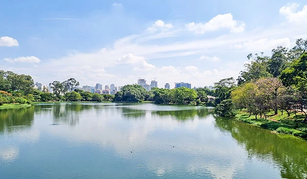Vista panorâmica e explorando o Parque Ibirapuera, com lago, árvores e céu azul claro, ideal para lazer e contato com a natureza na cidade de São Paulo.
