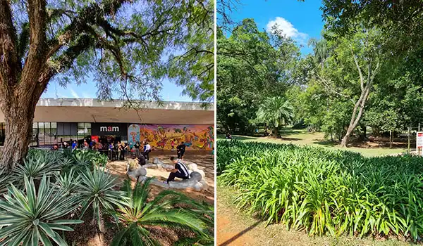 Duas fotos do Parque Ibirapuera, um com árvores densas e plantas ornamentais ao redor de uma área de lazer com pessoas, e outro com gramado verde e árvores frondosas, exemplificando espaços ao ar livre e contato com a natureza.