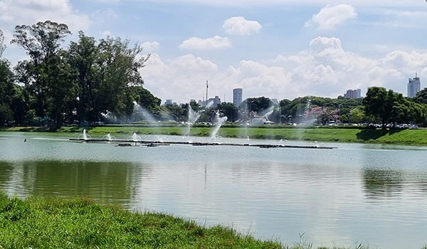 Imagem de um parque com lago, árvores e fonte de água, cenário urbano ao fundo com prédios e céu nublado, ambiente tranquilo e natural. Lugares floridos em São Paulo.