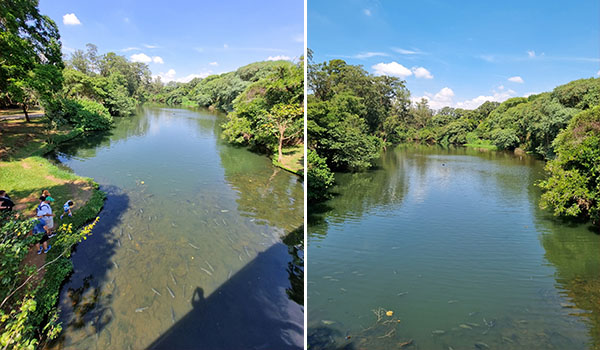Explorando o Parque Ibirapuera, mostrando um rio com águas calmas e cercado por vegetação verdejante sob céu ensolarado, ideal para relaxar e apreciar a natureza.