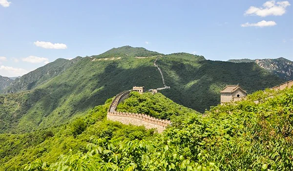 Vista panorâmica da Grande Muralha da China em meio à vegetação exuberante. A muralha serpenteia pelas montanhas sob um céu azul claro, destacando-se como uma das mais impressionantes construções da história, na viagem pela Ásia.