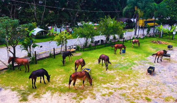 Pousada Rural em Aparecida