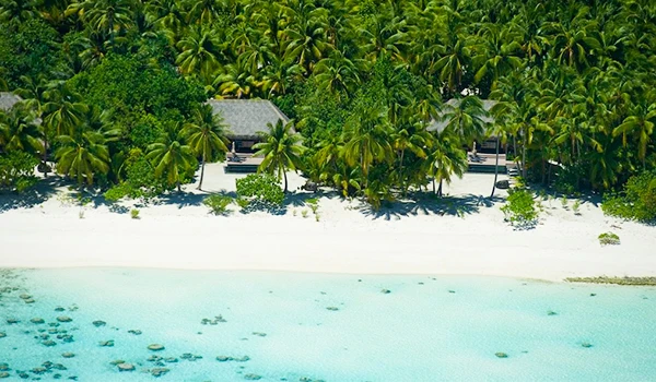 Imagem de uma praia tropical com palmeiras verdes, águas cristalinas e bangalôs à beira-mar, ideal para um destino paradisíaco e relaxante.