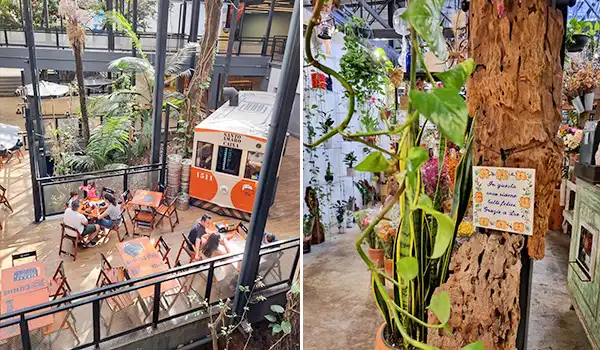 Imagem de uma cafeteria com ambiente aconchegante, mesas, cadeiras e plantas verdes, ideal para relaxar e desfrutar de um café em um espaço decorativo e natural.