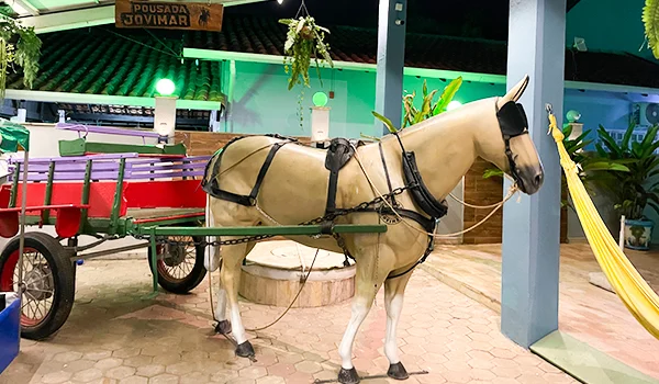 Cavalo claro selado e atrelado a uma charrete vermelha em uma área de lazer coberta, com piso de pedras, colunas azuis, plantas ornamentais e uma rede amarela ao fundo.