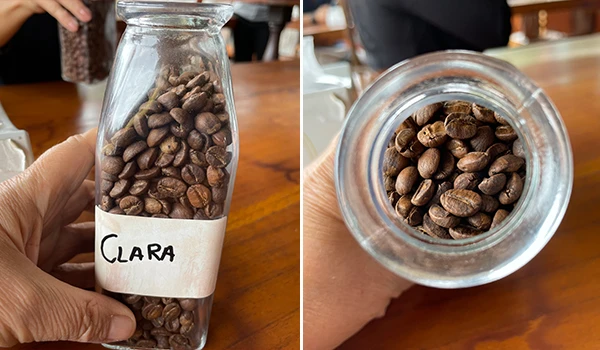 Frascos com grãos de café da variedade Clara, mostrando a textura e a coloração dos grãos, em uma mesa de madeira. Degustação de café na Rota das Montanhas Capixabas.