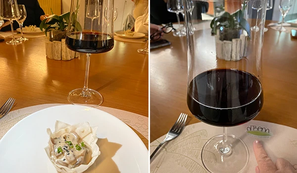 Taça de vinho tinto elegante em uma mesa com prato e decoração minimalista, destacando a gastronomia local e experiências gastronômicas sofisticadas.