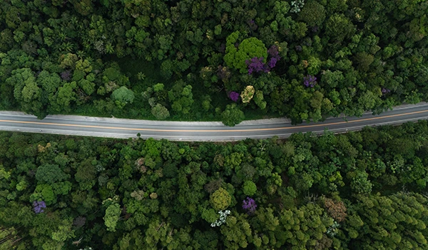 Vista aérea de uma estrada cercada por densa vegetação e árvores coloridas, mostrando a rica biodiversidade da floresta. Faz parte da Rota das Montanhas Capixabas.