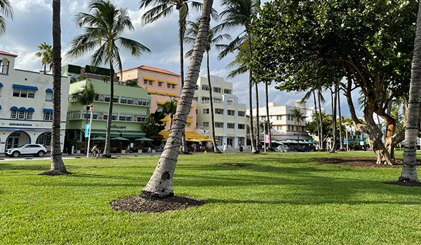 Atrações de South Beach Miami