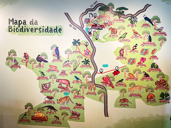 Mapa da biodiversidade com diversas espécies de animais e plantas, destacando a rica fauna e flora de uma região. Rota das Montanhas Capixabas.