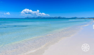 Foto da Praia do Forte uma Ótima Opção de Lua de Mel