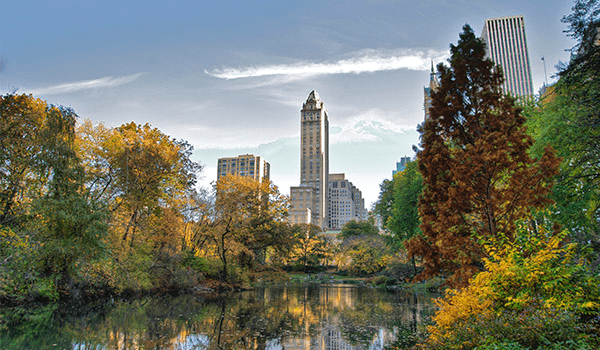 Foto de uma paisagem de Nova York que tem muitos livros inspiradores de viagens.