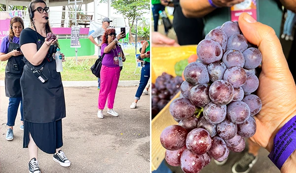 Imagem de um grupo de pessoas participando de um evento, com destaque para uma mulher apresentando uvas em um ambiente ao ar livre. A imagem mostra também a mão segurando um cacho de uvas. ípica Festa da Uva de Jundiaí