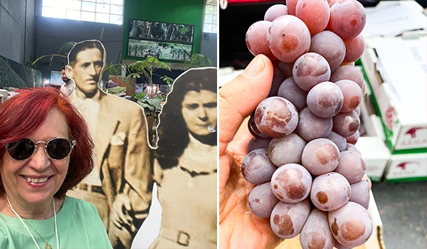 Imagem Deusa Rodrigues com óculos escuros, ao lado de uma parede decorada com pôsteres históricos de figuras femininas, e na outra parte, um punhado de uvas roxas. Típica Festa da Uva de Jundiaí.
