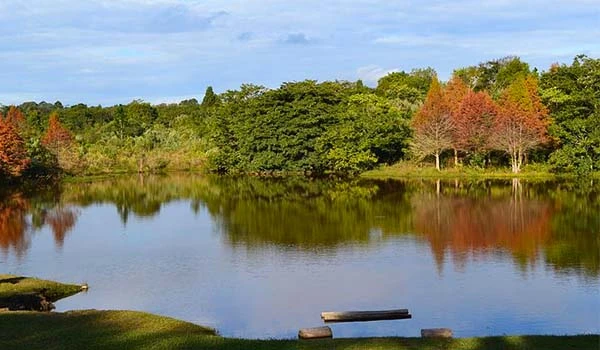 Uma bela paisagem de lago com reflexos de árvores verdes e âmbar no entorno, ideal para apreciação da natureza e relaxamento.