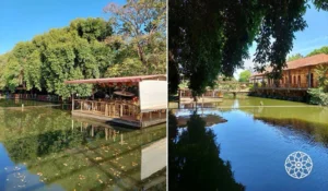 Imagem de um lindo espaço natural com água calma rodeada por árvores, ideal para relaxar e contemplar a natureza. Um local perfeito para passar o dia.