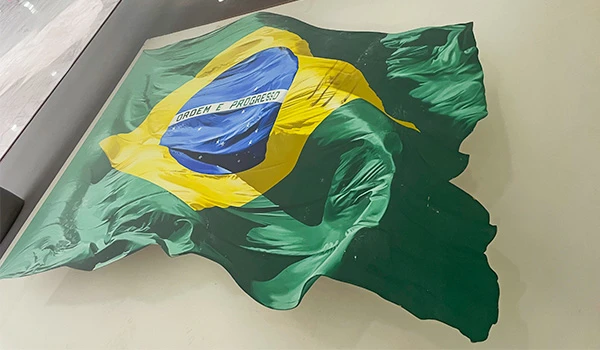 Bandeira do Brasil exibida de forma vibrante, com as cores verde, amarelo e azul destacadas. A pintura mostra a bandeira rasgada pós invasão de 08 de janeiro de 2023 no Palácio do Planalto.