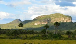 Paisagem rural no Brasil com montanhas verdes, árvores e céu parcialmente nublado, destacando a beleza natural da fauna e flora nativas.