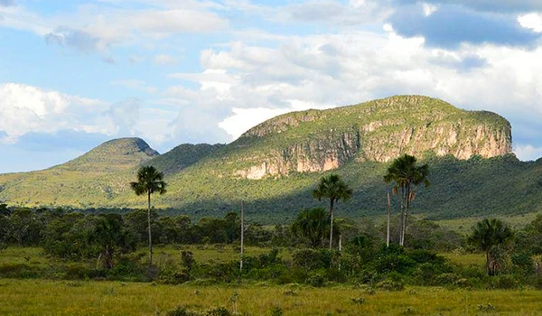 Paisagem rural no Brasil com montanhas verdes, árvores e céu parcialmente nublado, destacando a beleza natural da fauna e flora nativas.
