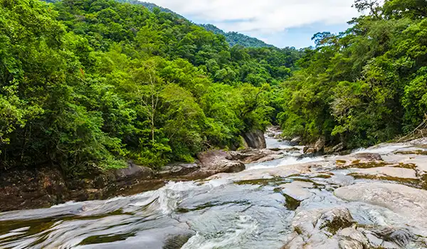 Imagem de uma paisagem natural de rio cercado por uma densa floresta verde, com montanhas ao fundo, destacando a beleza da natureza e a tranquilidade do ambiente. Lugares com cachoeira no Brasil.