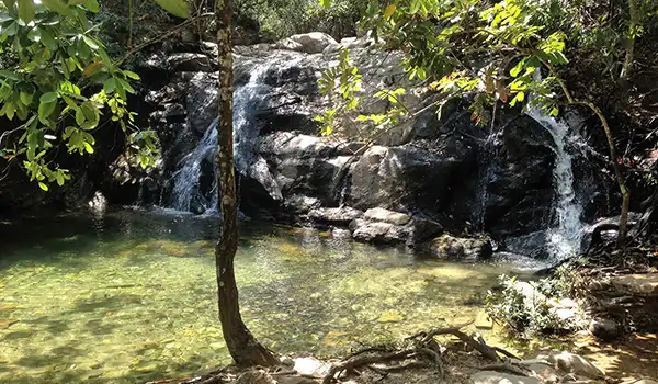 Cenário de natureza com cachoeira e piscina natural rodeada por árvores verdes. Lugares com cachoeira no Brasil.