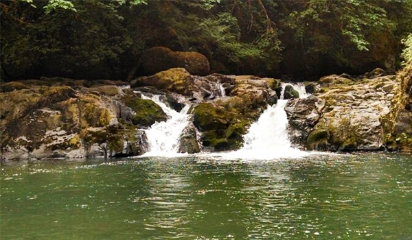 Imagem de uma nascente de rio rodeada por árvores e rochas, com água cristalina e troncos de árvores na margem. Lugares com cachoeira no Brasil.