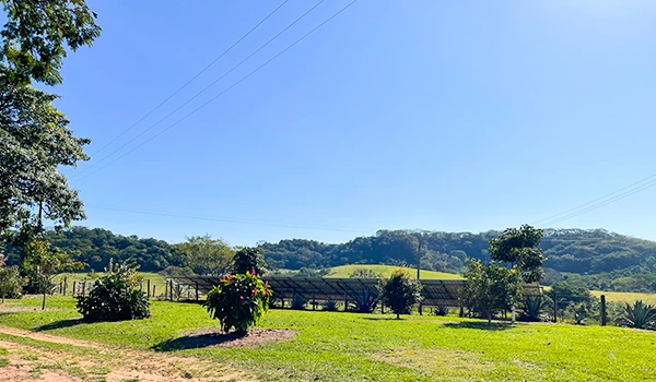 Imagem de um cenário rural com árvores, vegetação, céu azul claro e uma paisagem de colinas ao fundo, criando uma atmosfera tranquila e bucólica.