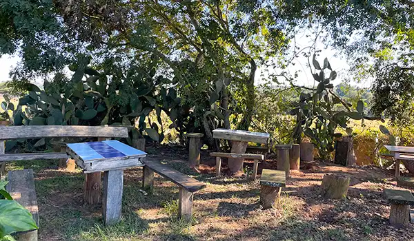 Área ao ar livre com bancos de madeira e árvores, ideal para momentos de descanso na natureza, com sombra e ambiente tranquilo da Estância do Queijo em Botucatu.