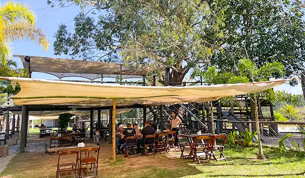Ambiente ao ar livre com mesas e cadeiras sob sombra de árvores, ideal para momentos de lazer, comida com amigos e reuniões sociais ao ar livre.